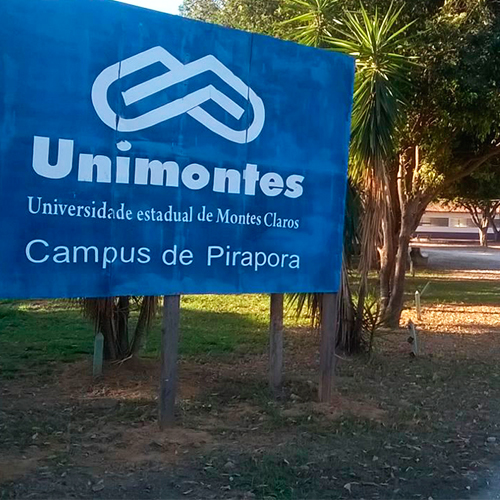 Unimontes Champions League - Campus Janaúba