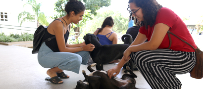 Acadêmicas Júlia e Maria Eduarda são duas das voluntárias que cuidam dos cães do campus (Fotos: Christiano Jilvan)
