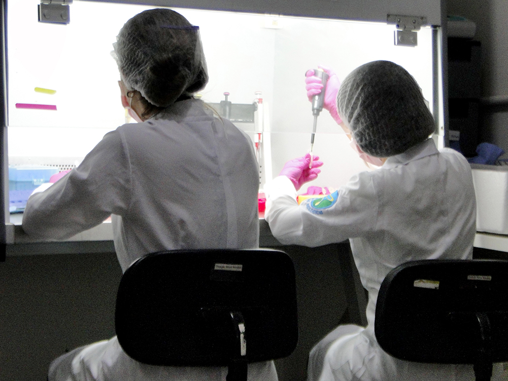 Em 100% de conformidade com as amostras da Funed, Laboratório da Unimontes  está apto para diagnósticos da Covid-19 - Universidade Estadual de Montes  Claros - Unimontes